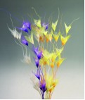 dried flowers d-f071